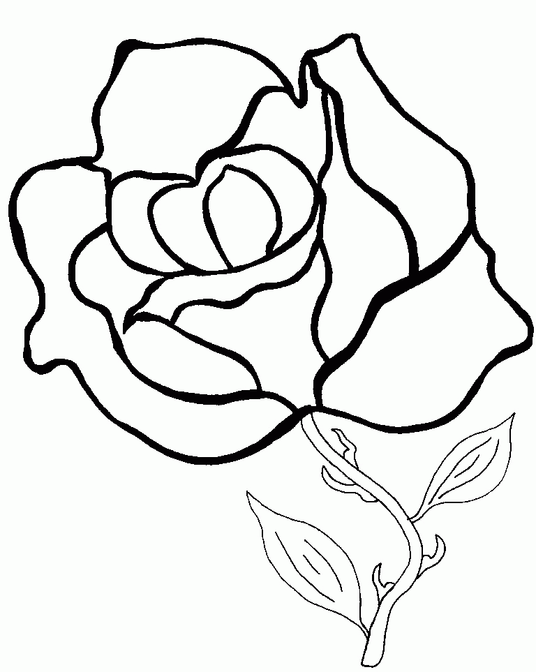 The Typical Roses Coloring For Kids - Flower Coloring Pages 