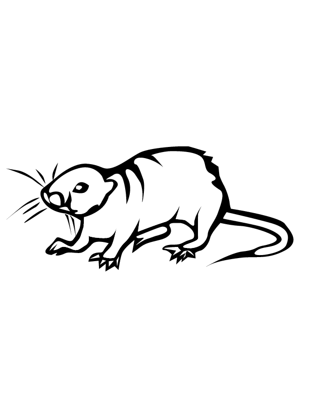 eps 2 rat printable coloring in pages for kids - number 2577 online