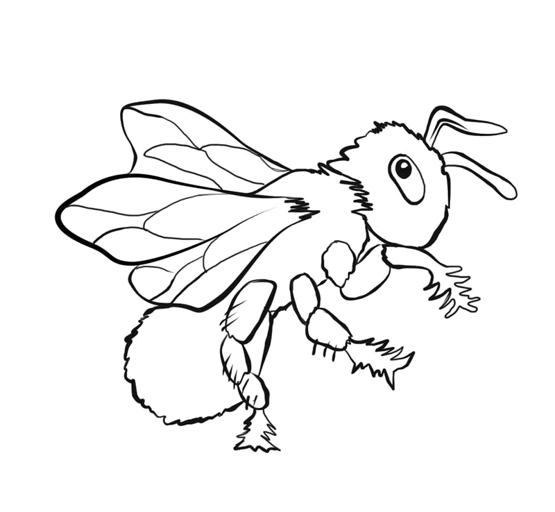 FREE Bee Coloring Picture 1