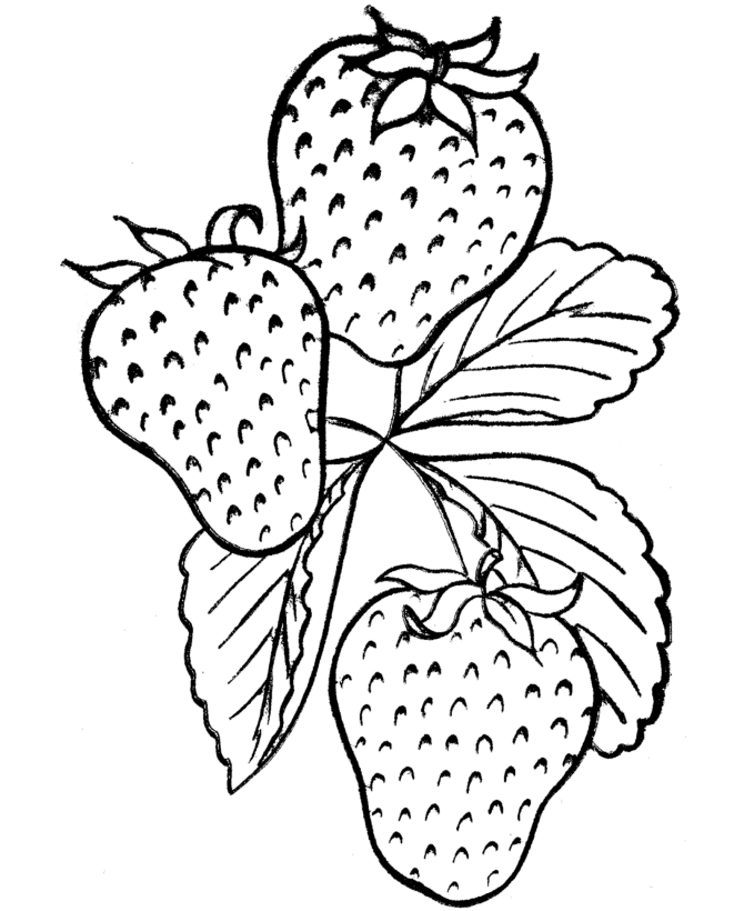 Coloring Page Strawberry Cake Ideas and Designs
