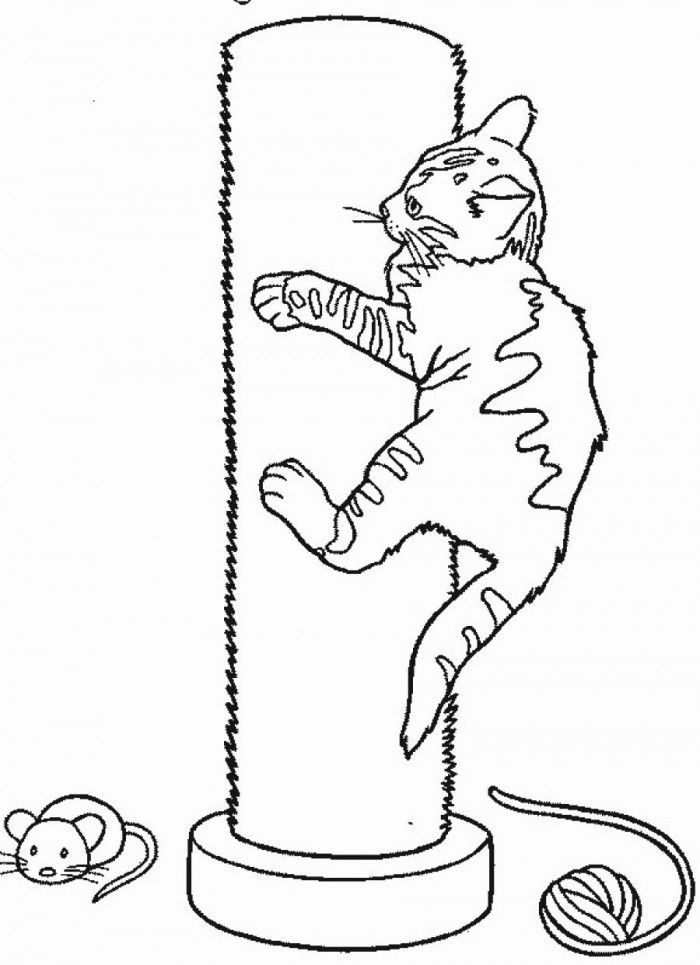 Preschool Coloring Pages Cat In The Hat