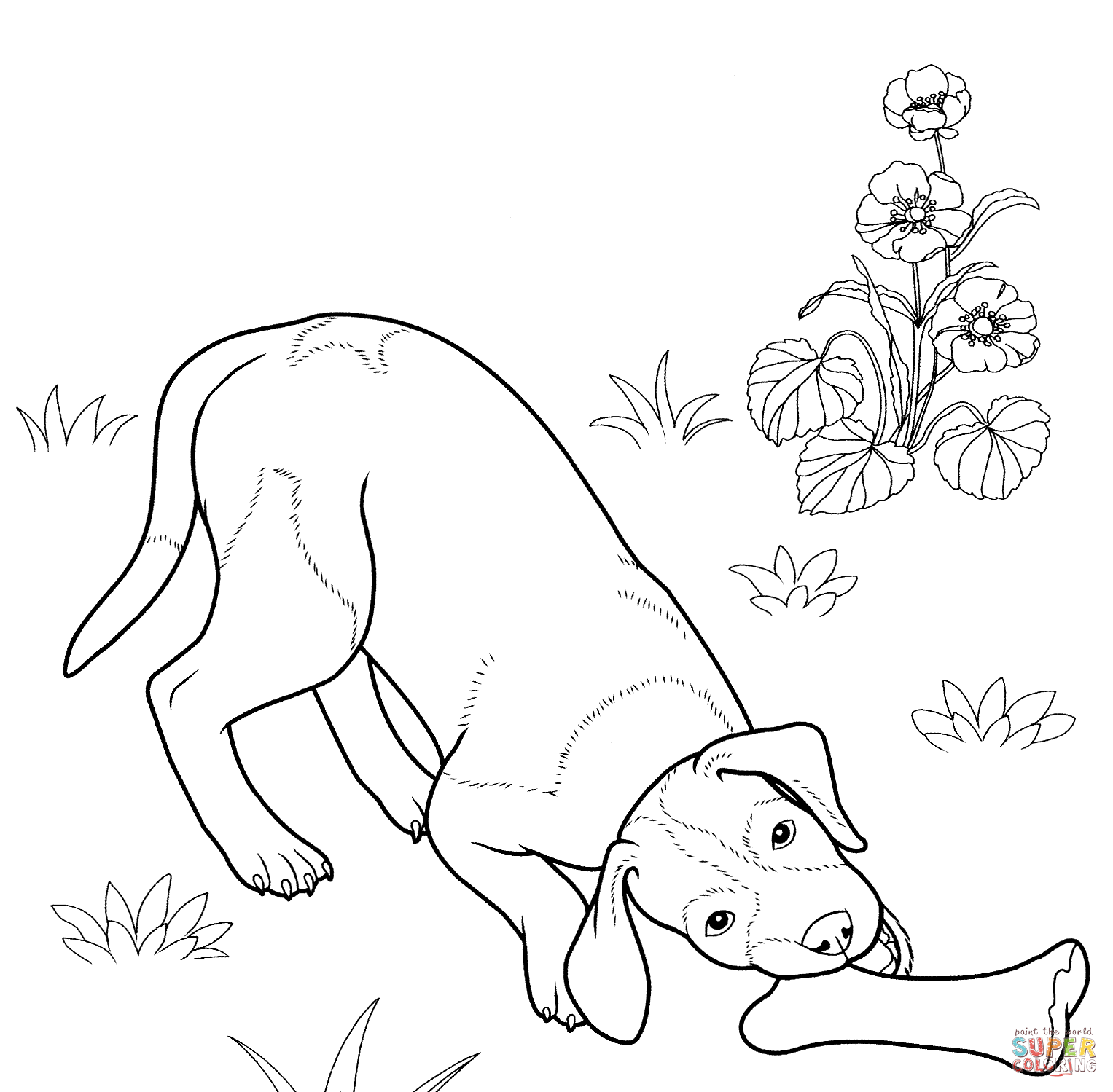 German Shepherd Dogs coloring page | Free Printable Coloring Pages