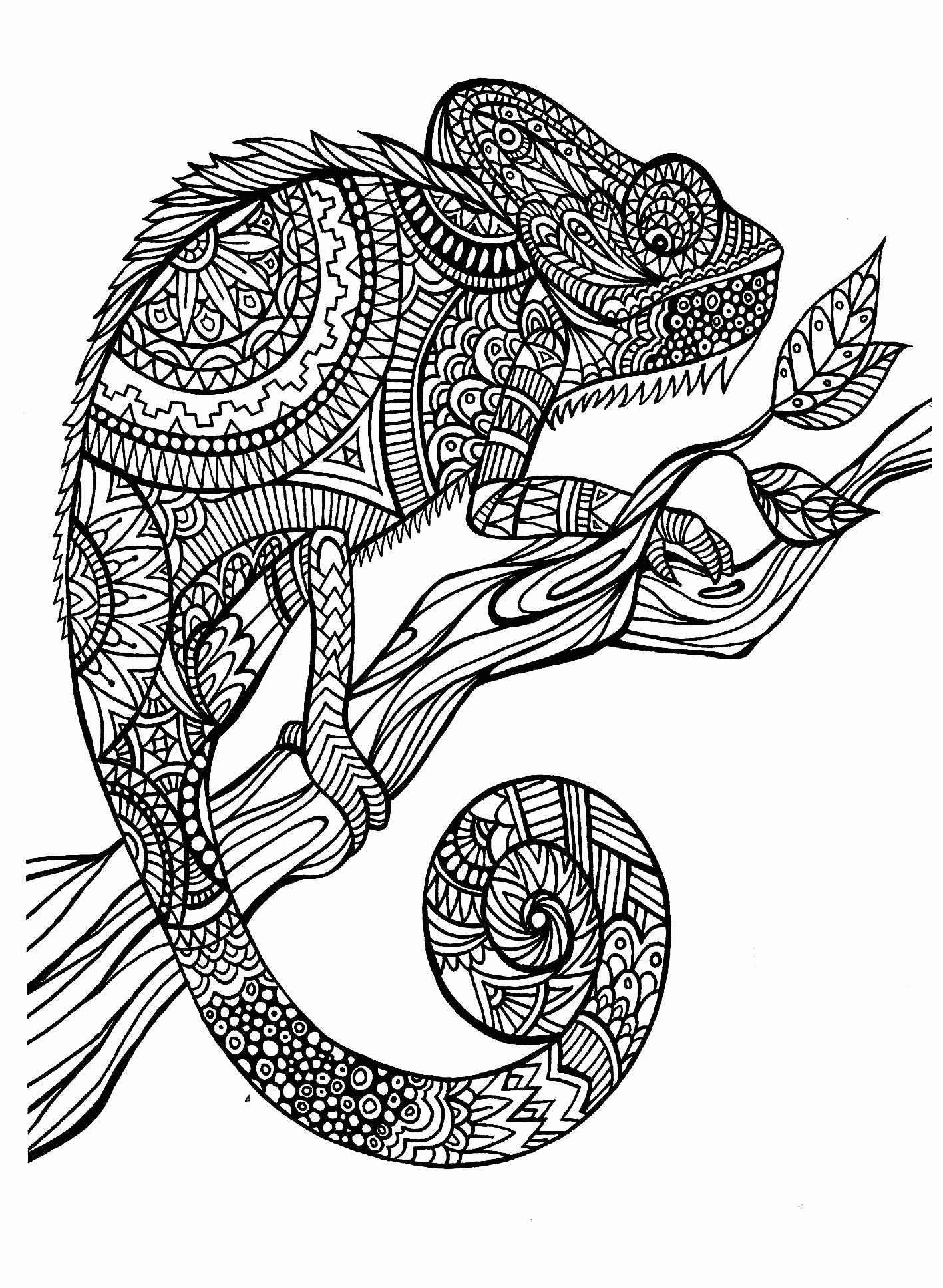 Coloring Pages For Adults Animals   Coloring Home