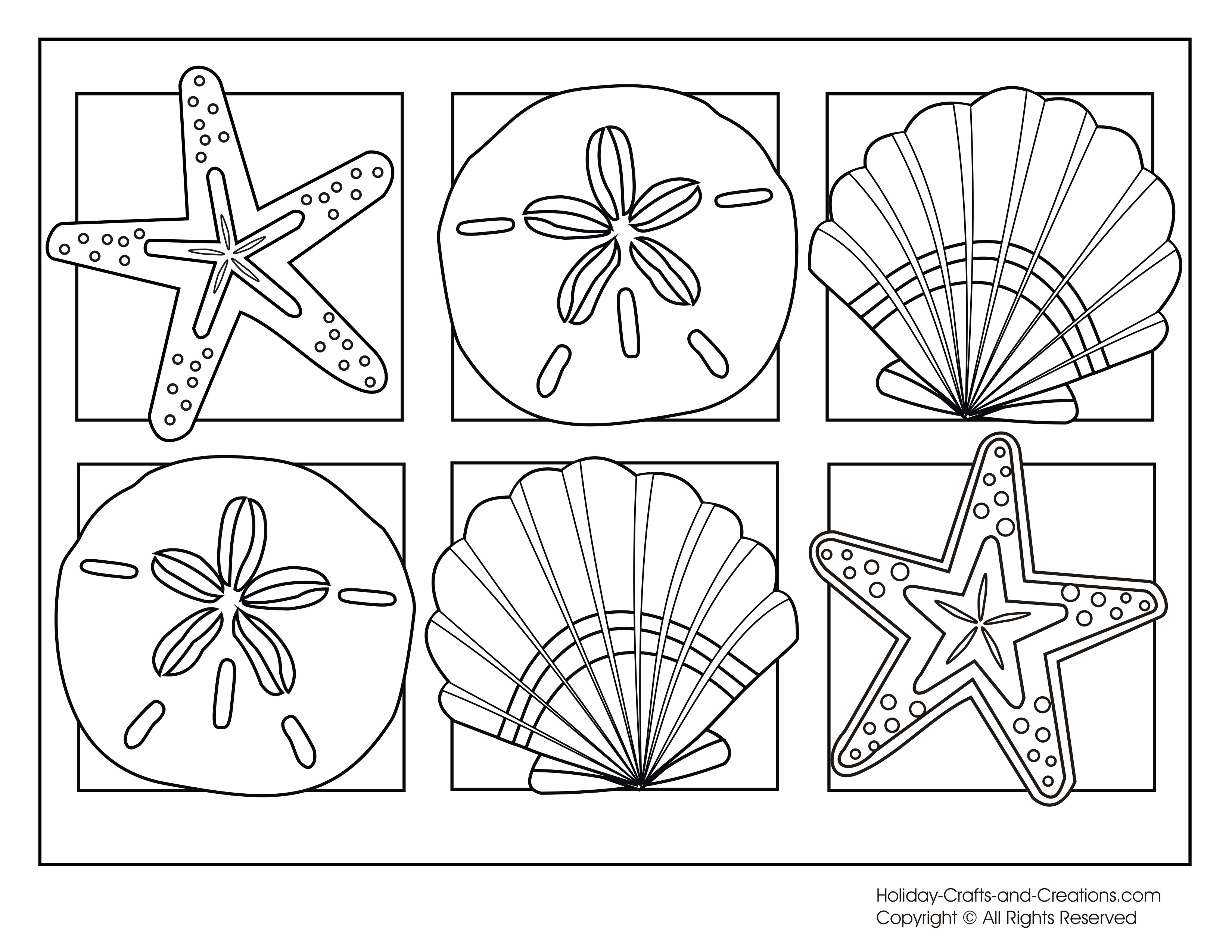 Seashells Coloring Pages - Coloring Home