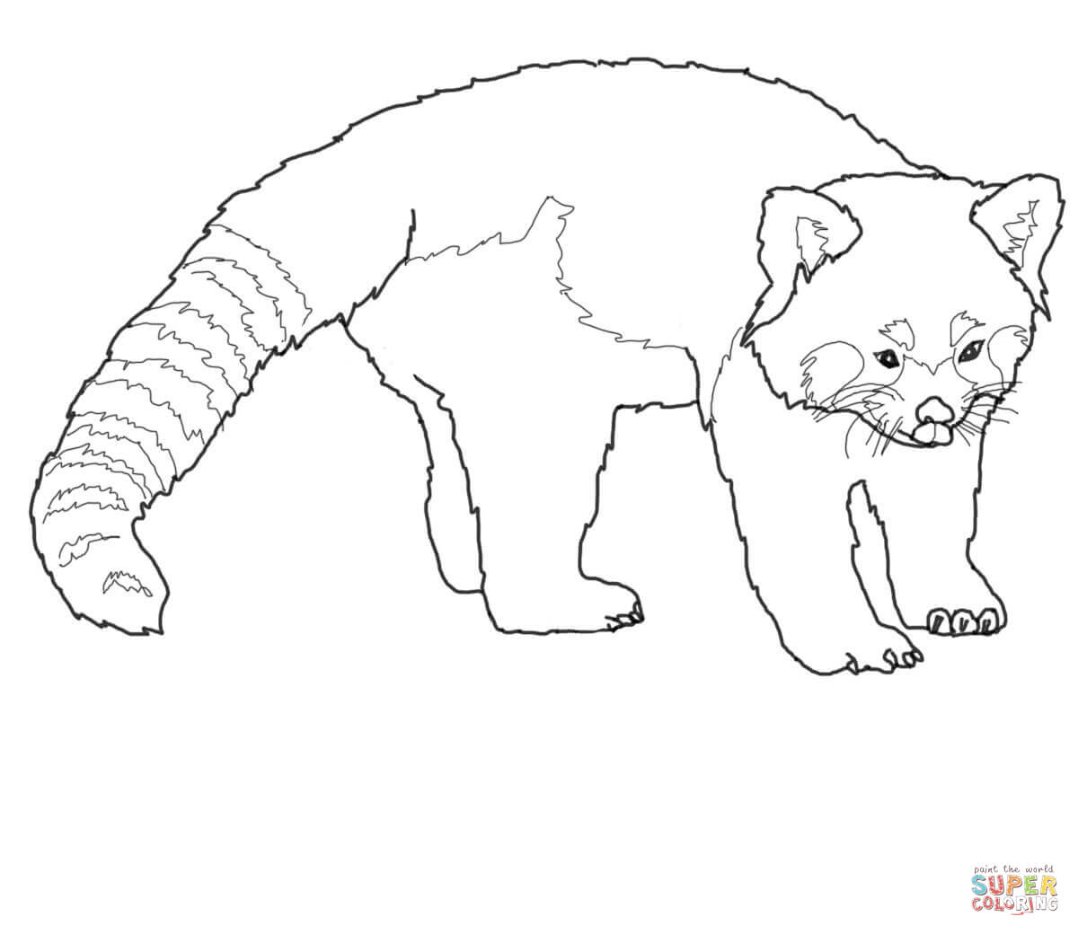 Red Panda Coloring Page Coloring Home