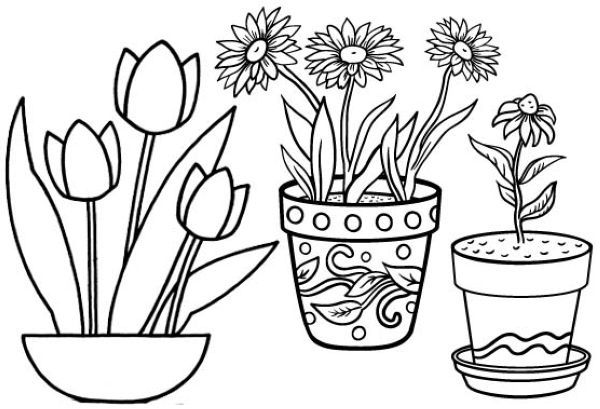 Flower Pot Coloring Pages PDF to Print - Coloringfolder.com | Coloring pages,  Flower pots, Flower coloring pages