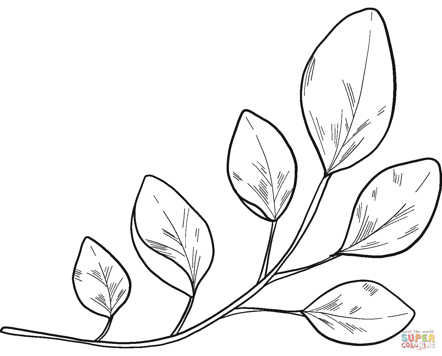 Eucalyptus Branch coloring page | Free Printable Coloring Pages