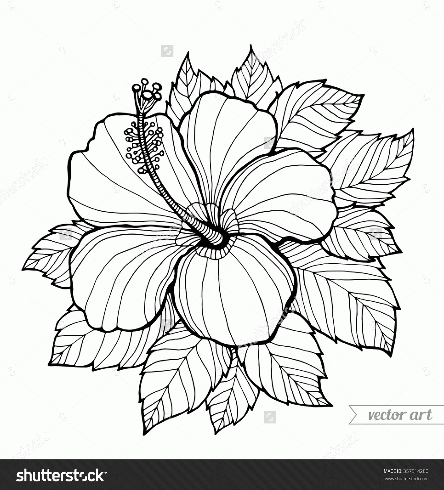 Hibiscus Coloring Page Hibiscus Coloring Pages Hibiscus Coloring ...