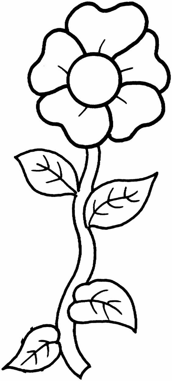 Flower coloring pages: A single flower | Single Flowers, Free ...