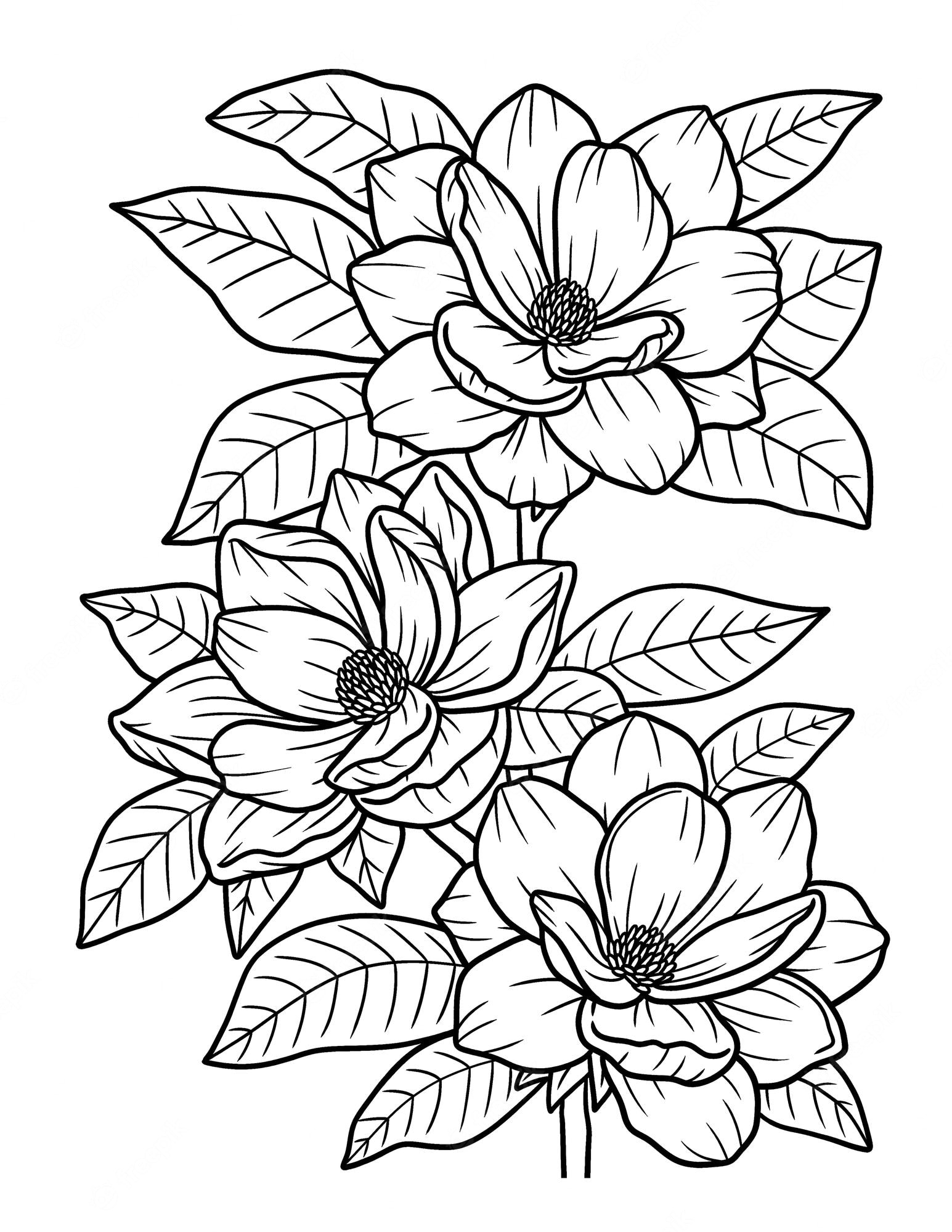 Floral coloring page Vectors & Illustrations for Free Download | Freepik