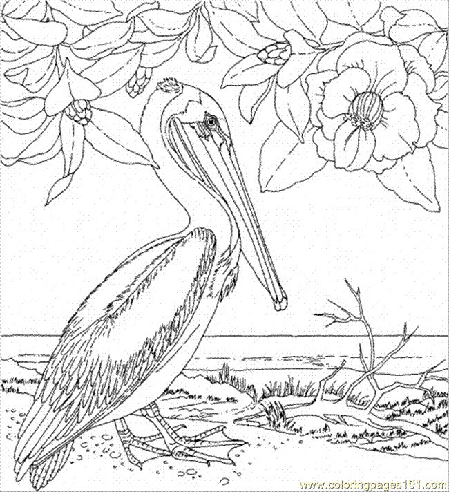 Magnolia And Pelican Coloring Page for Kids - Free Flowers Printable Coloring  Pages Online for Kids - ColoringPages101.com | Coloring Pages for Kids