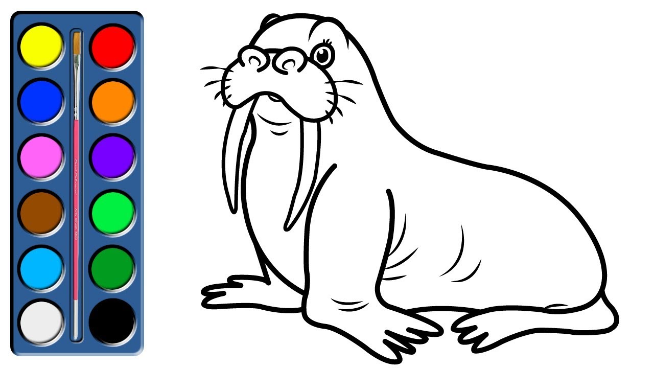 Coloring Walrus - Walrus Drawing for Children - Drawing And Coloring Pages  for Kids - YouTube