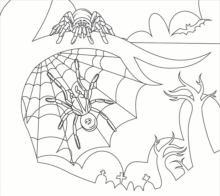 Two Spiders Coloring Page - Free Printable Coloring Pages for Kids