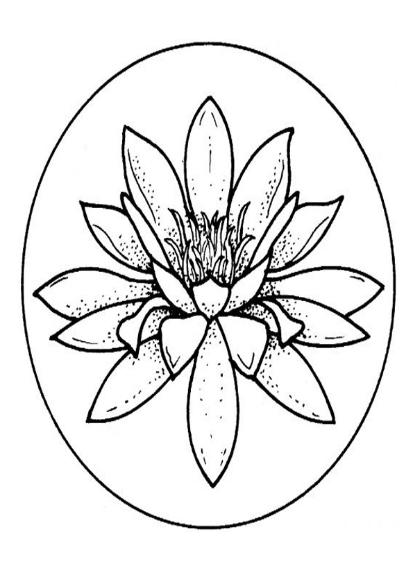 Coloring Pages | Water Lily Coloring Page for Kids