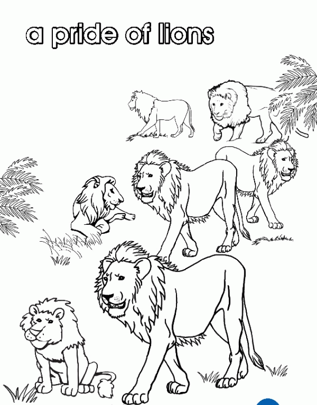 7 Pics of Lion King Pride Rock Coloring Pages - Lion King Coloring ...