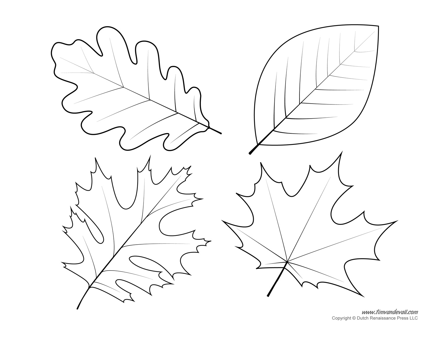 Leaf Templates & Leaf Coloring Pages for Kids | Leaf Printables