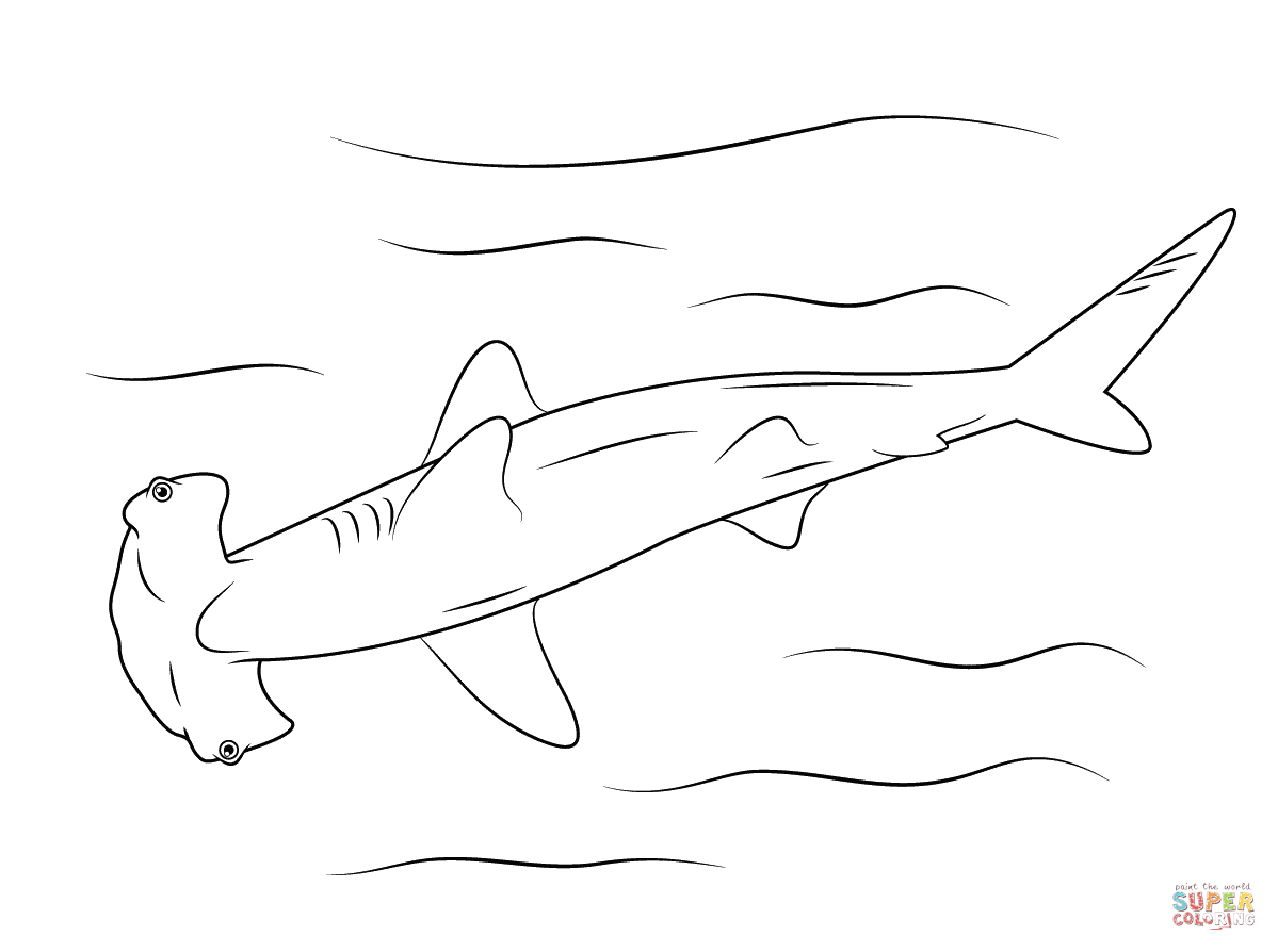 Hammerhead shark coloring pages | Free Coloring Pages