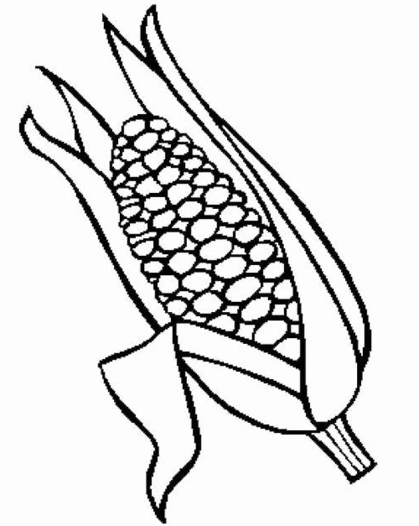 corn stalk coloring page - Clip Art Library