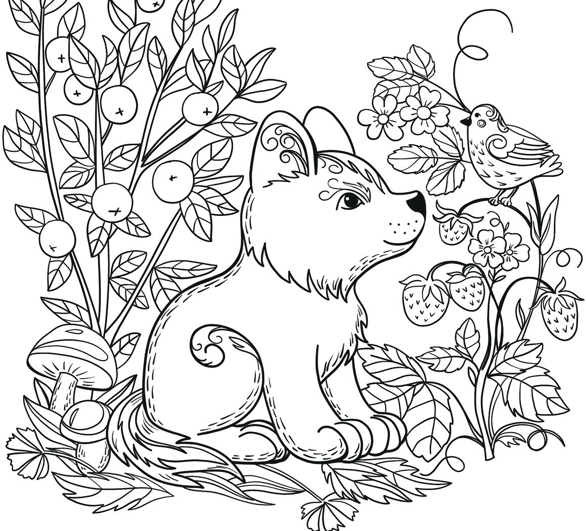 Animal Coloring Page Printable Free Wild Forest Animals Page Adult Within Coloring Home