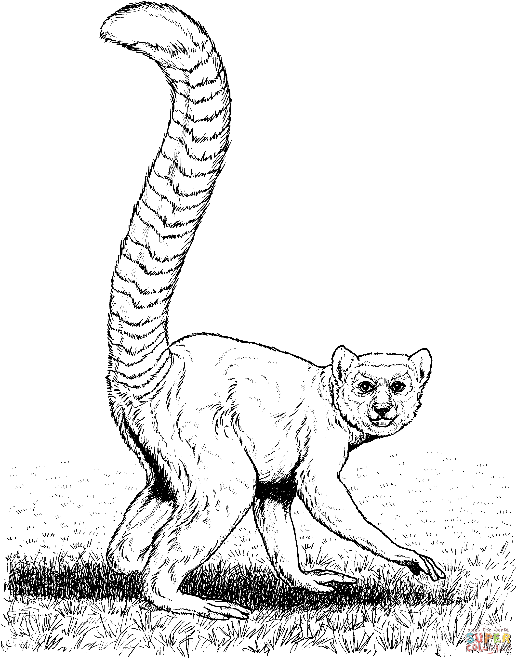 Bamboo Coloring Page - Coloring Home