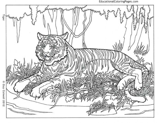 20+ Free Printable Difficult Animals Coloring Pages for Adults ...