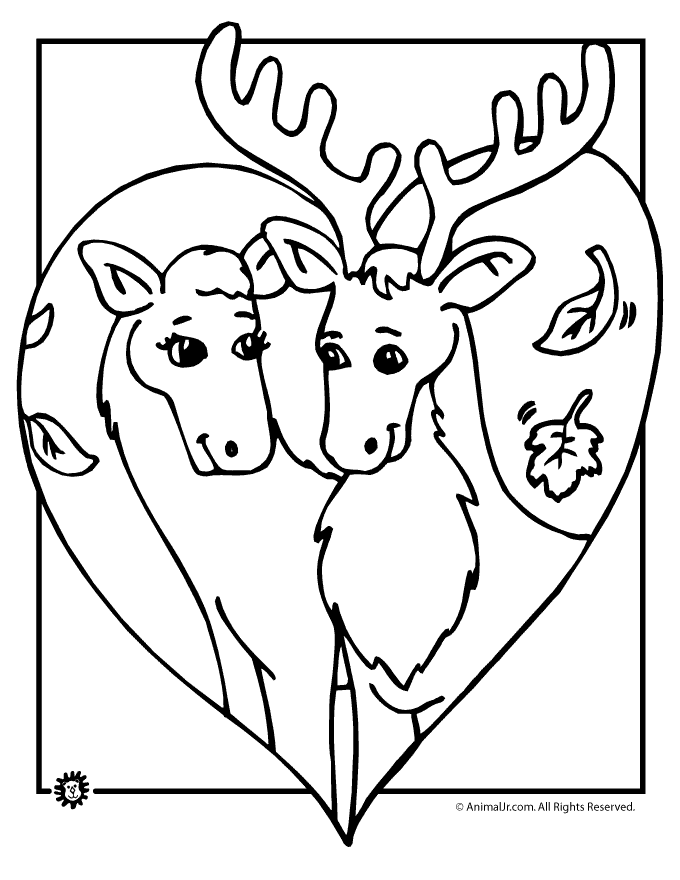 Deer Coloring Pages | Animal Jr.