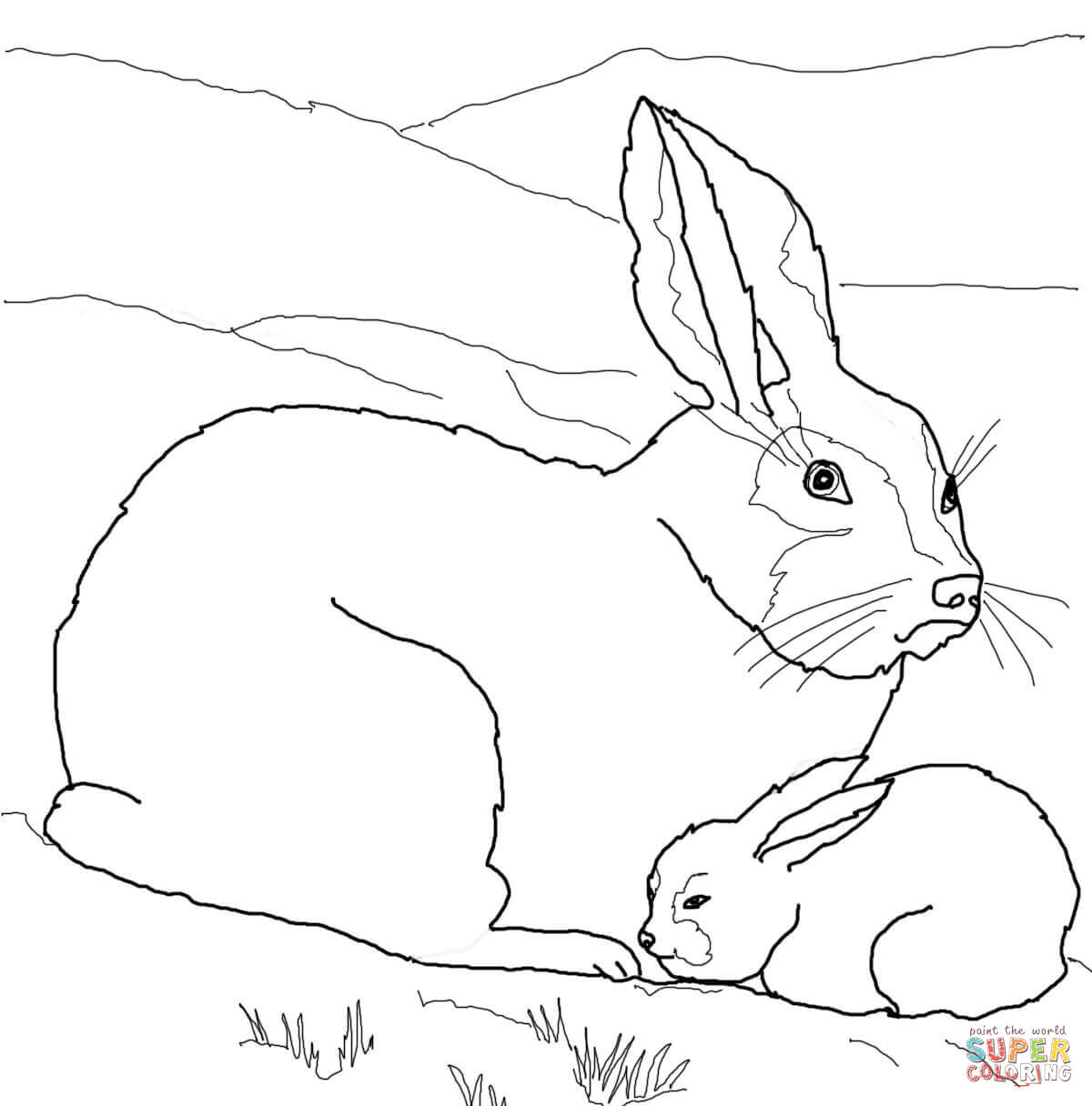 Arctic Hare Coloring Page