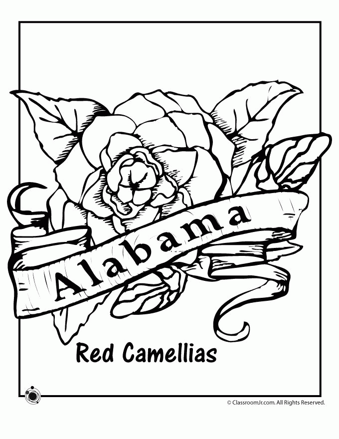 7 Pics of Alabama Symbols Coloring Pages - Alabama State Flower ...
