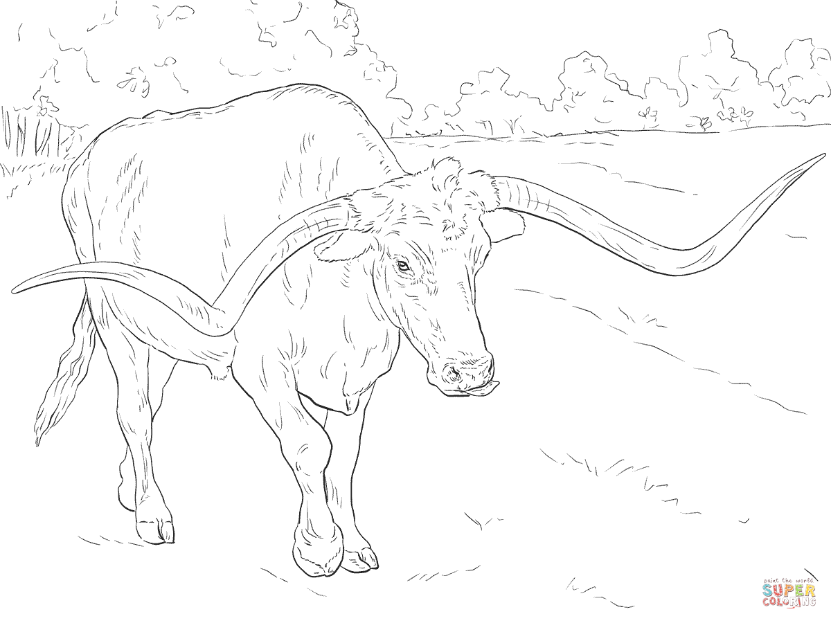 Texas Longhorn coloring page