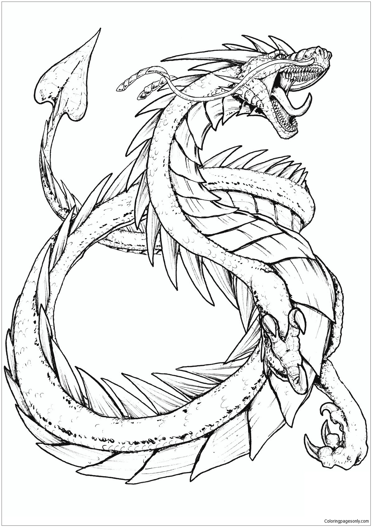 Best Dragons Coloring Pages - Dragon Coloring Pages - Coloring Pages For  Kids And Adults
