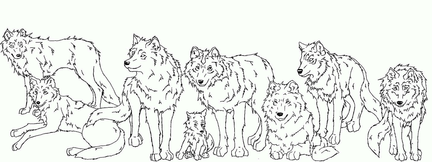 Wolf Pack Coloring Pages Related Keywords & Suggestions - Wolf ...
