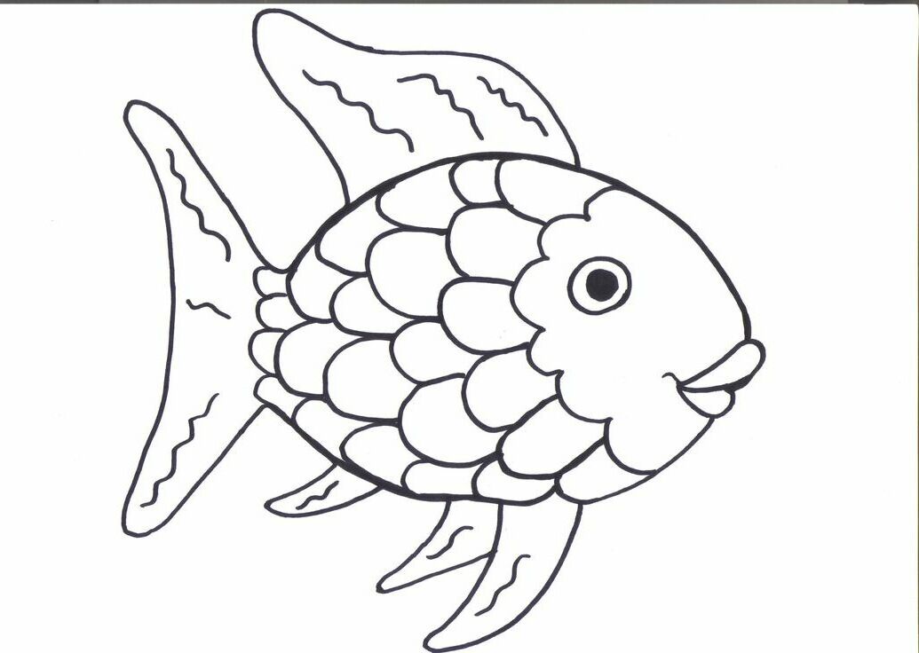 rainbow-fish-template-coloring-home