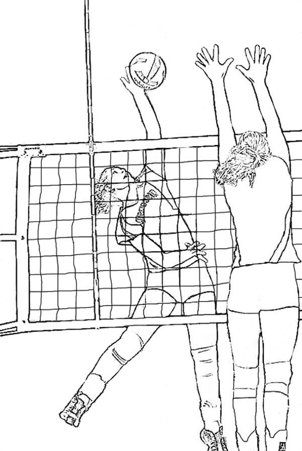 realistic coloring page of volleyball - Download & Print Online ...