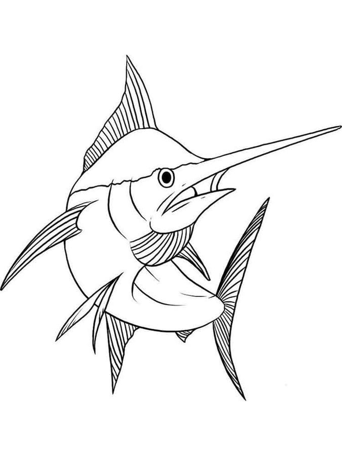 Coloring pages: Swordfish, printable for kids & adults, free