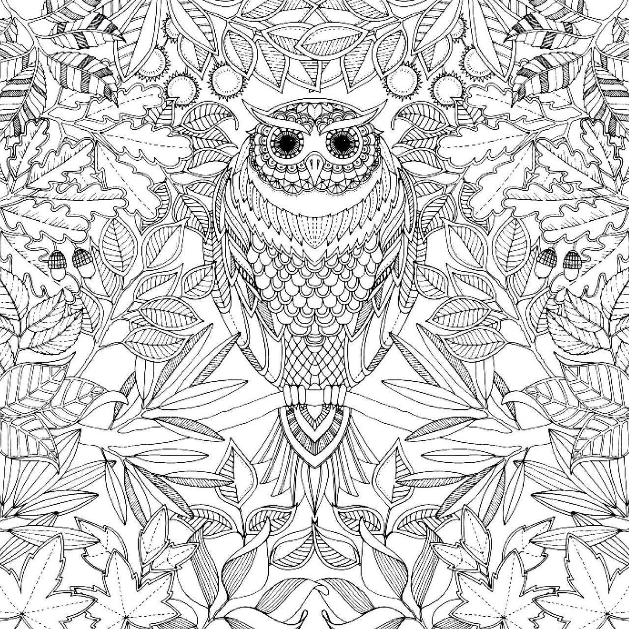 Coffee Table : Secret Garden Coloring Book Owl Complex Pages ...