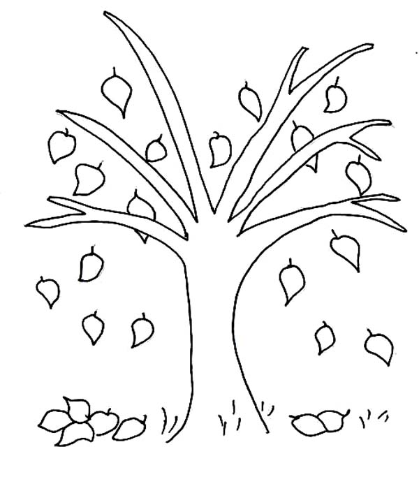 Fall Tree Coloring Pages Printable at GetDrawings | Free download