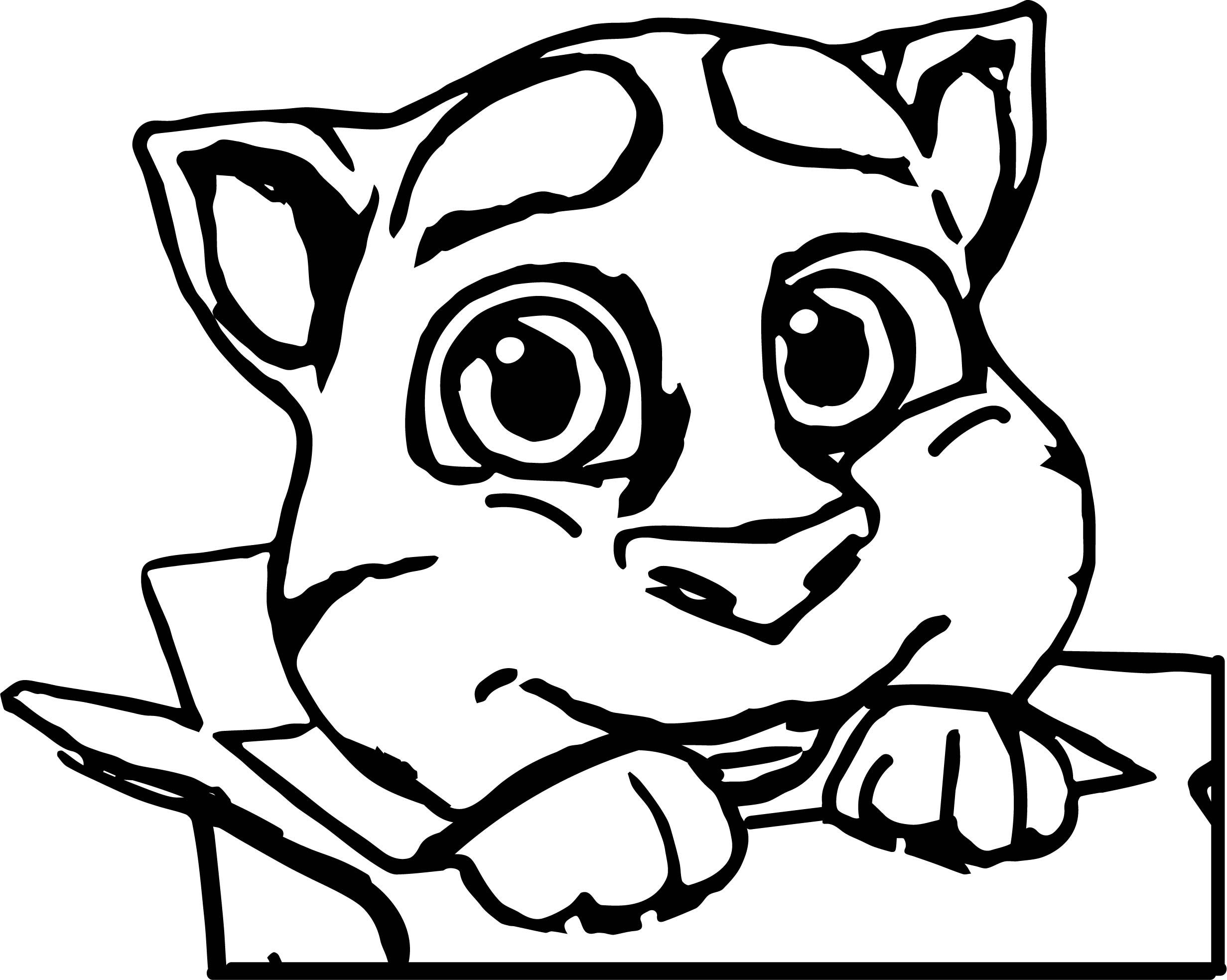 Talking Tom Coloring Pages.