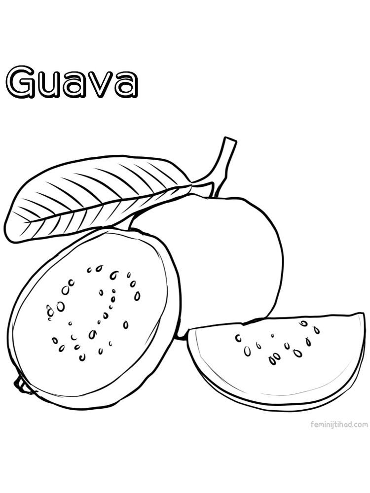 Guava Coloring Page Free