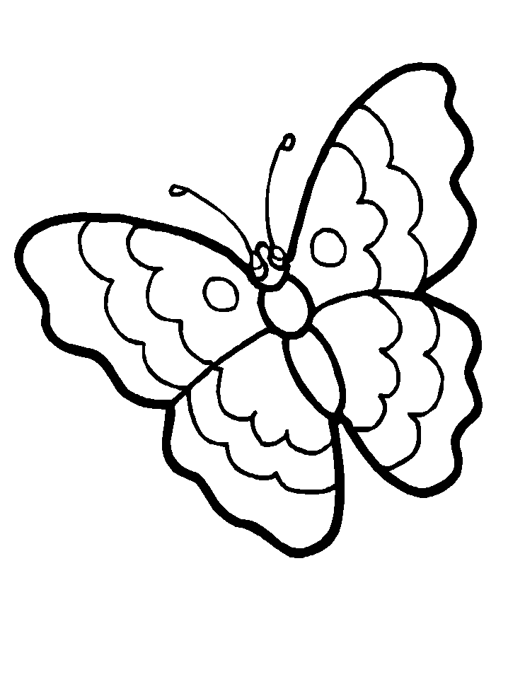 Butterfly Coloring Sheets | Free coloring pages