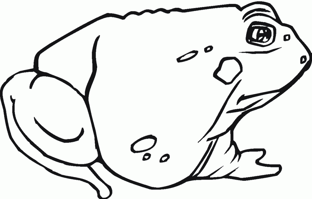 Toad Coloring Pages - Free Coloring Pages For KidsFree Coloring 