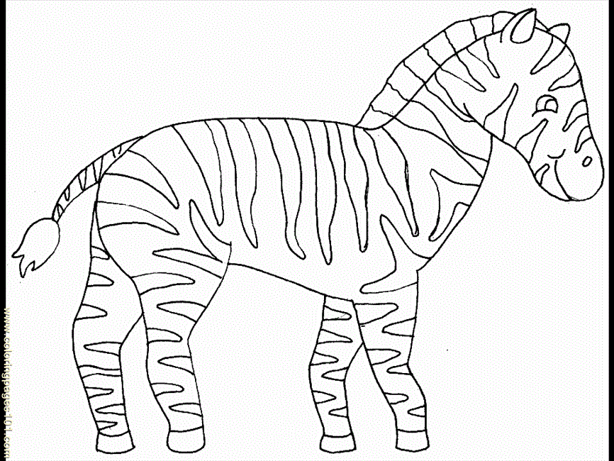 Coloring Pages Zebra (Animals > Others) - free printable coloring 