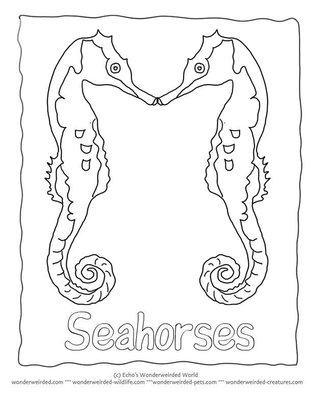 Seahorse Silhouettes, Silhouette Templates for Ocean Themed 