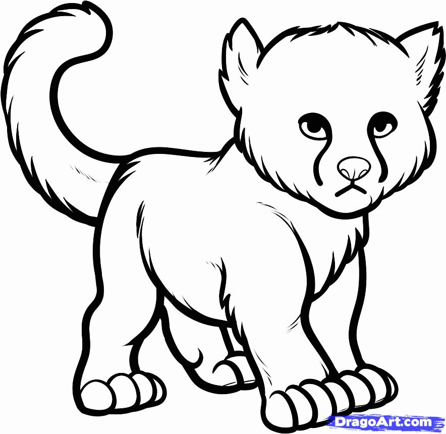 Baby Cheetah Colouring Pages