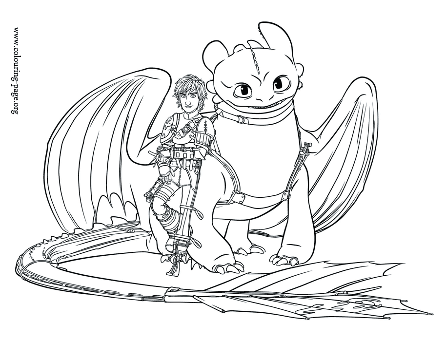 How to Train Your Dragon 2 - Hiccup and his dragon Toothless ...