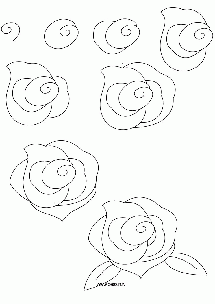 how to draw flowers | learn how to draw a rose with simple step by 