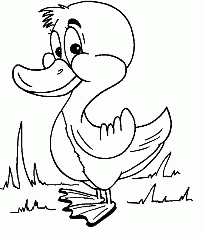 Birds Coloring Pages ~ Printable Coloring Pages