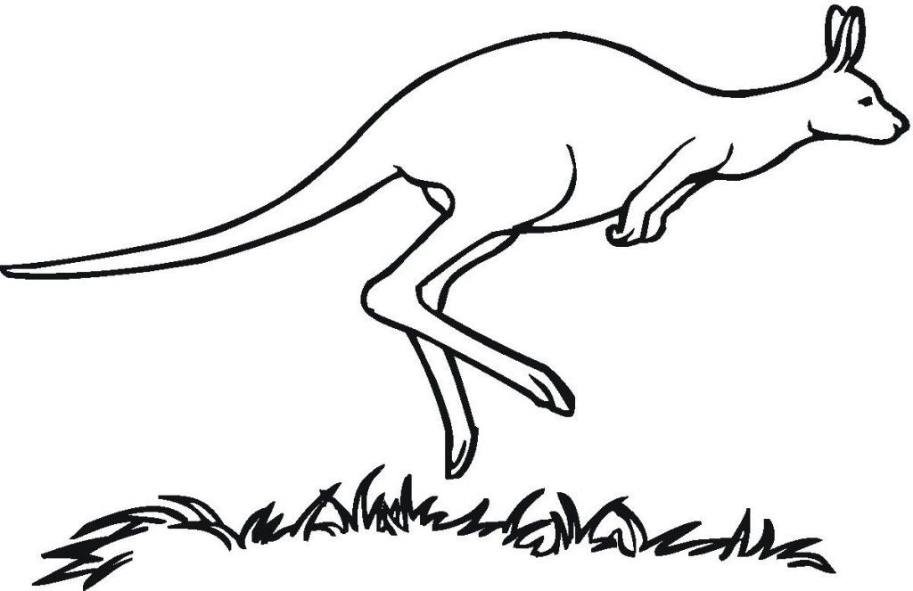 Printable Kangaroo Coloring Pages | COLORING WS