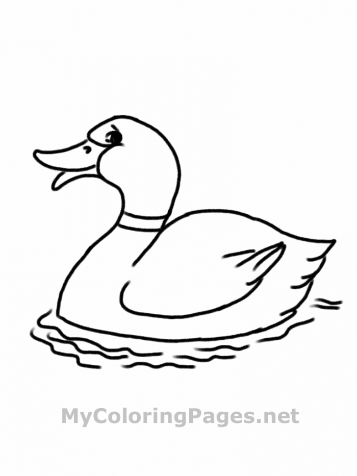 Open Book Coloring Page Kids | 99coloring.com