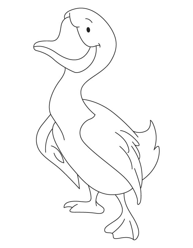 Commander duck coloring page | Download Free Commander duck 