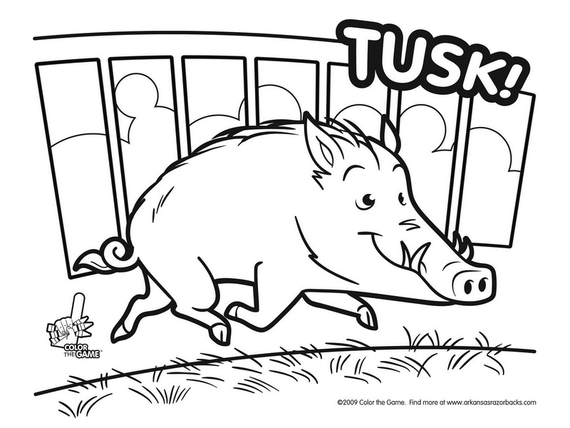 razorback hogs Colouring Pages
